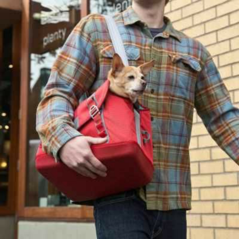 Kurgo Dog Carrier